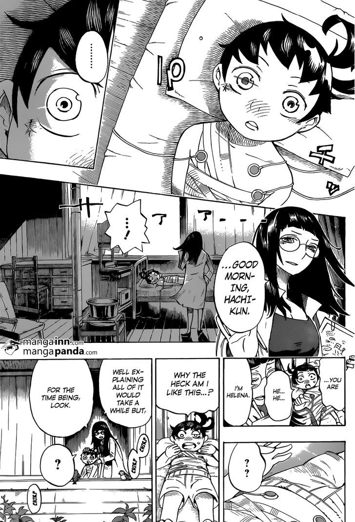 Hachi (Nishi Yoshiyuki) - Chapter 3 : Small Hero