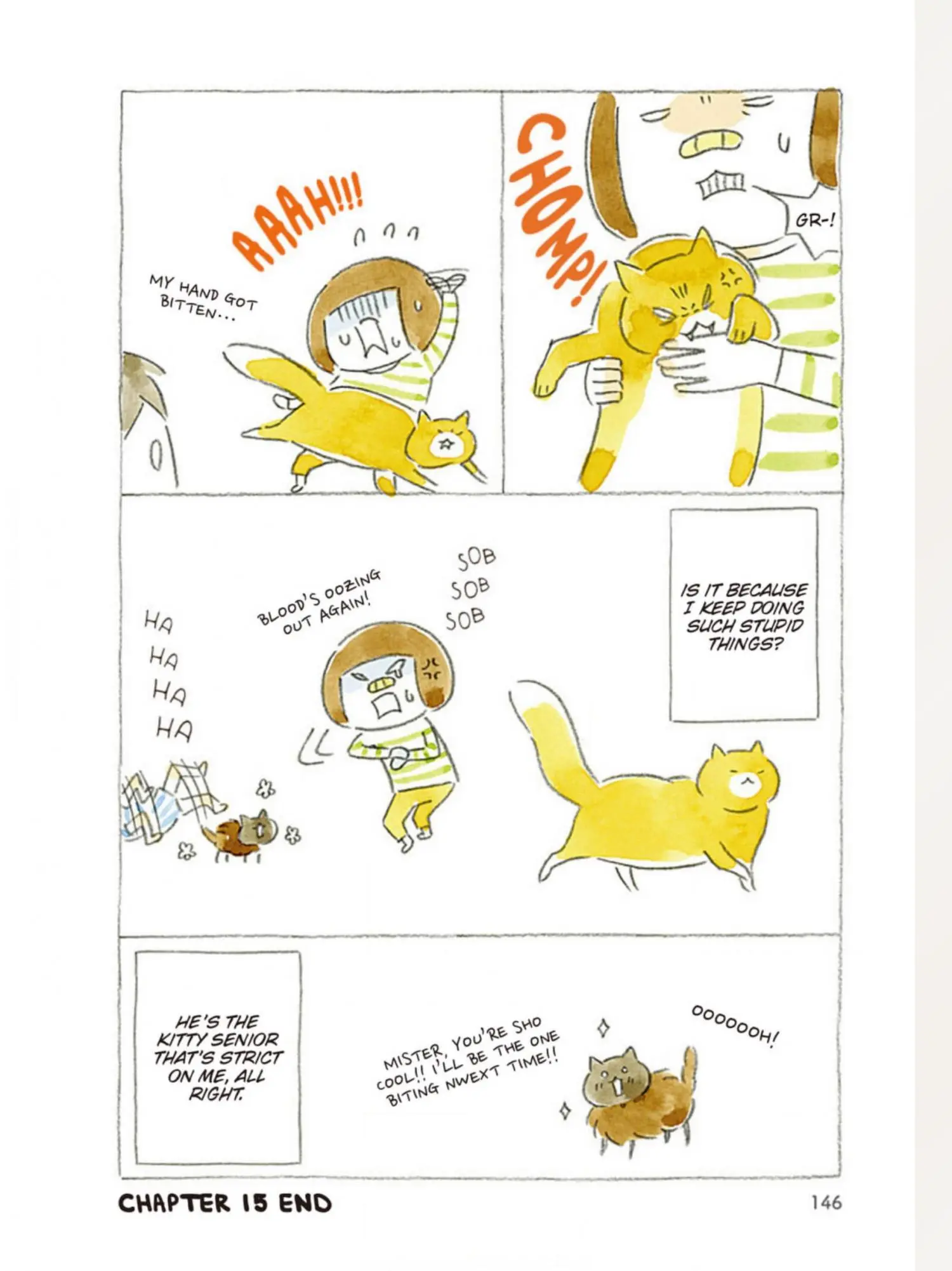 Acorn The Kitty Cat - Chapter 15