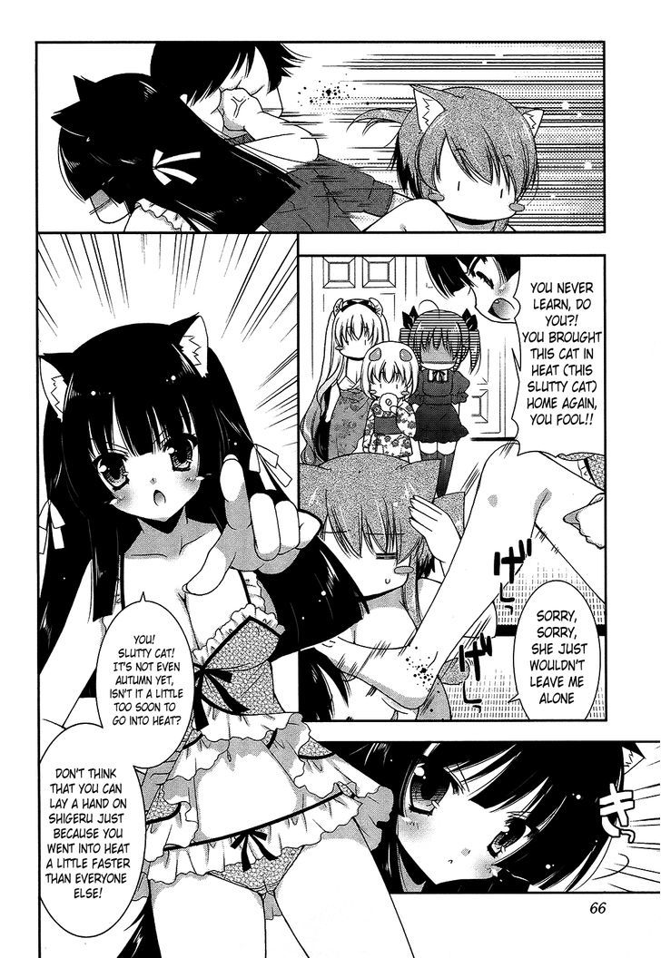 Nyatto! - Vol.3 Chapter 15 : Ridiculous Catfight