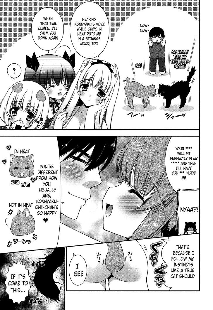 Nyatto! - Vol.3 Chapter 15 : Ridiculous Catfight