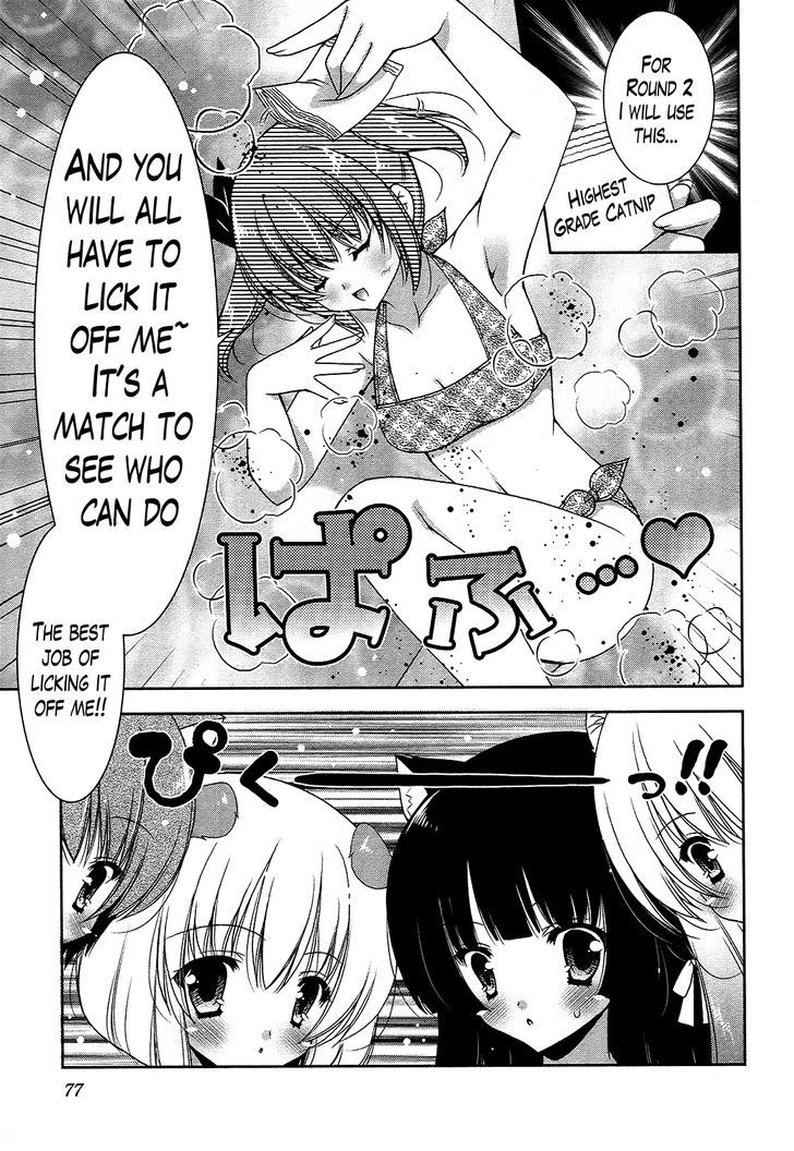 Nyatto! - Vol.3 Chapter 15 : Ridiculous Catfight