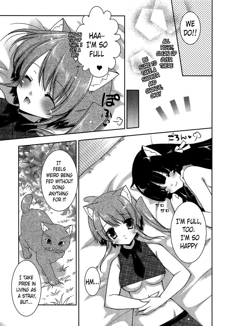 Nyatto! - Vol.3 Chapter 15 : Ridiculous Catfight