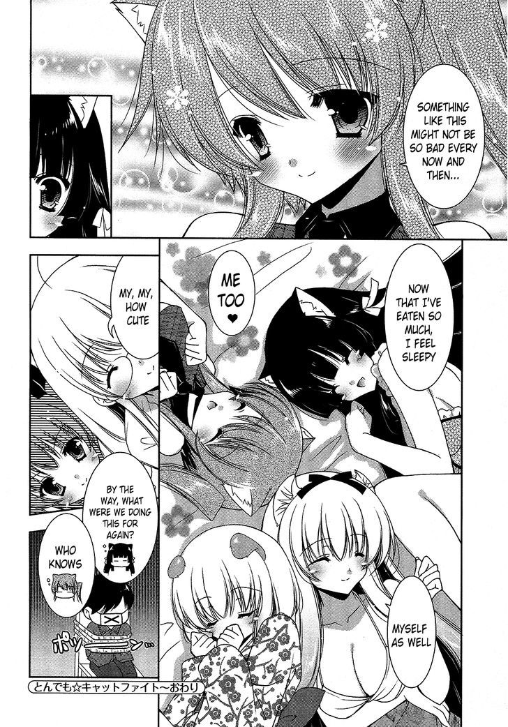 Nyatto! - Vol.3 Chapter 15 : Ridiculous Catfight