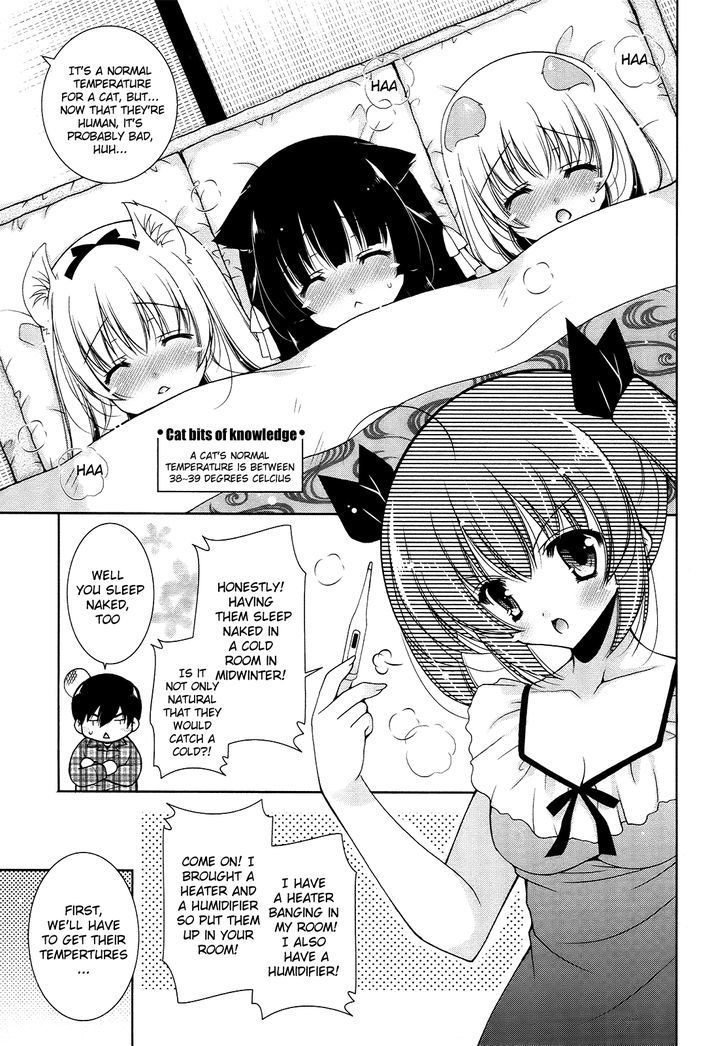 Nyatto! - Vol.2 Chapter 11 : Everyone Is Hot