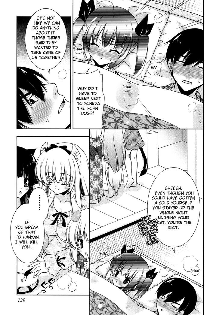 Nyatto! - Vol.2 Chapter 11 : Everyone Is Hot