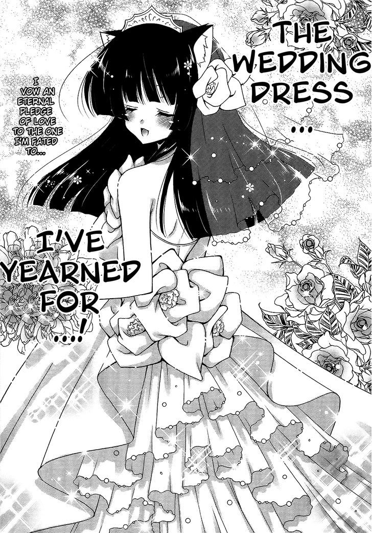 Nyatto! - Vol.3 Chapter 13 : The Naked Apron Of Justice