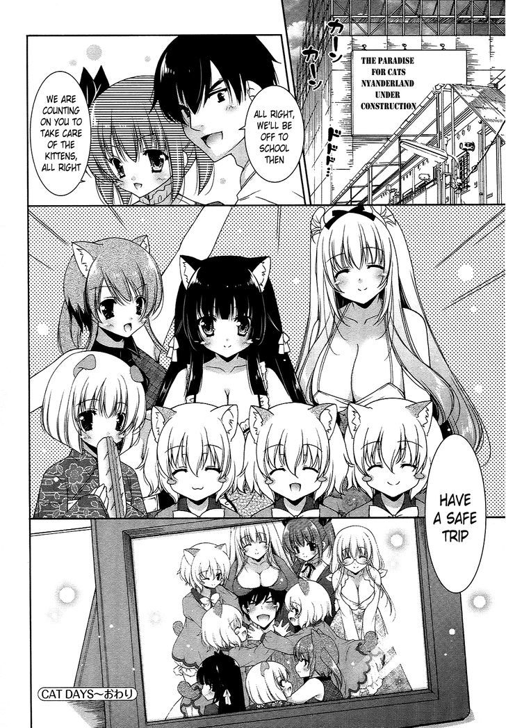 Nyatto! - Vol.3 Chapter 18 : Cat Days