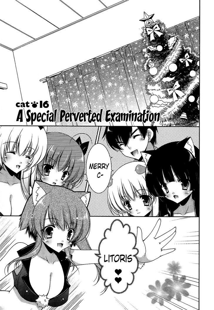 Nyatto! - Vol.3 Chapter 16 : A Special Perverted Examination