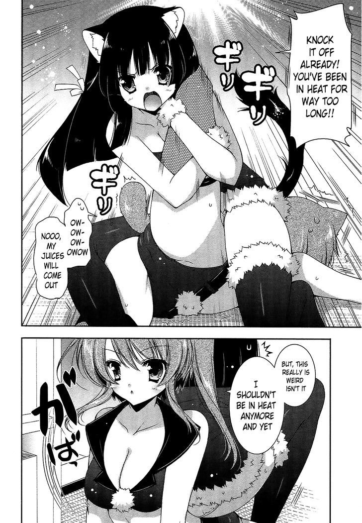 Nyatto! - Vol.3 Chapter 16 : A Special Perverted Examination