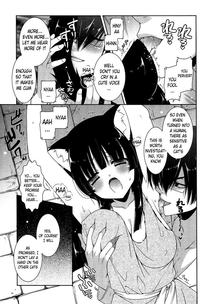 Nyatto! - Vol.3 Chapter 16 : A Special Perverted Examination