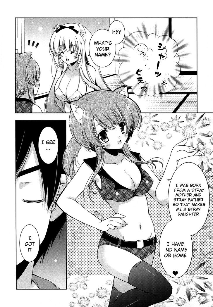 Nyatto! - Vol.2 Chapter 12 : Sexy Sketchy Kitties