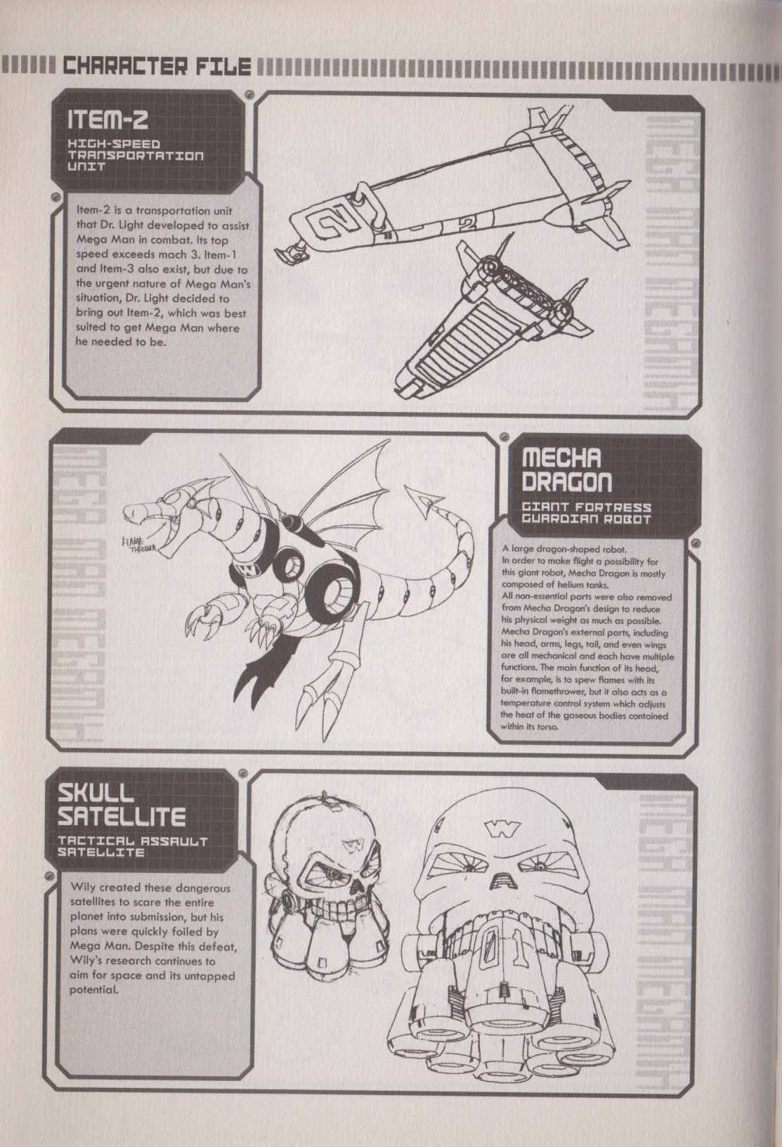 Rockman Megamix - Chapter 3.1: Character Profiles + Creator Interview