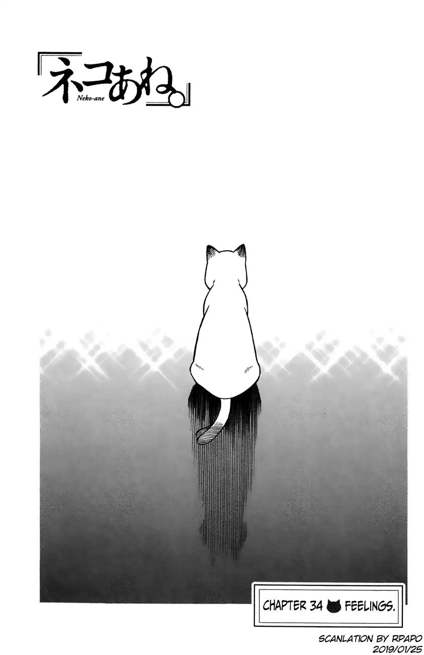 Neko Ane - Chapter 34: Feelings.