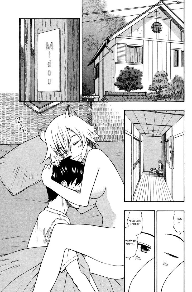 Neko Ane - Chapter 2 : Stepping Out