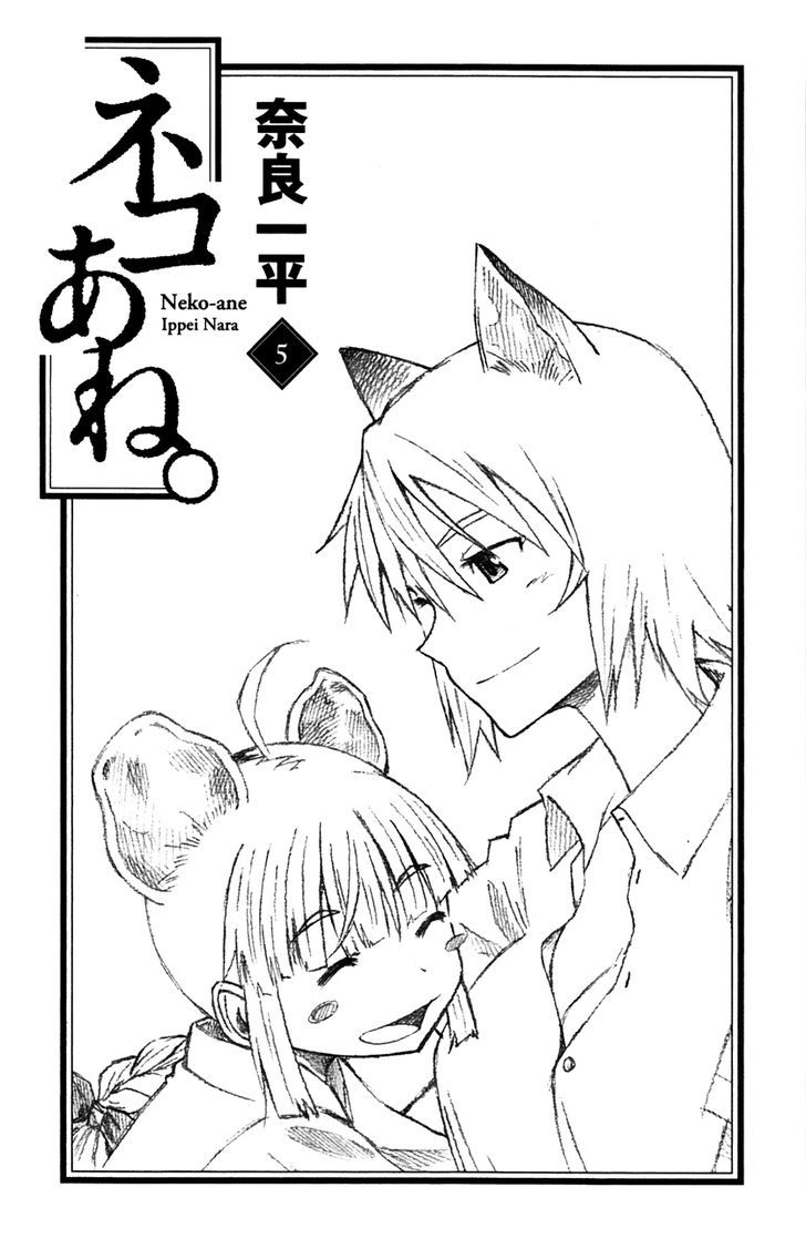 Neko Ane - Chapter 24 : Fireworks.