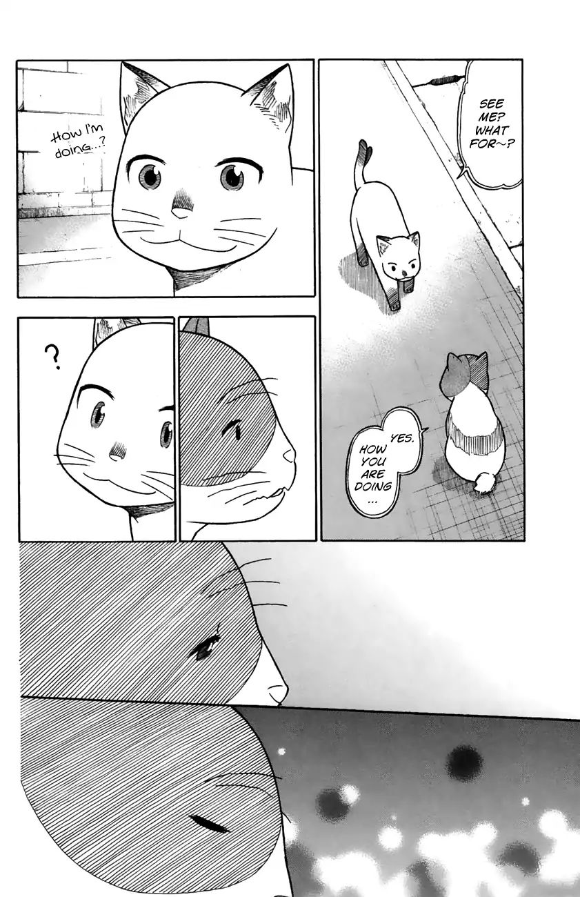 Neko Ane - Chapter 32: Memories