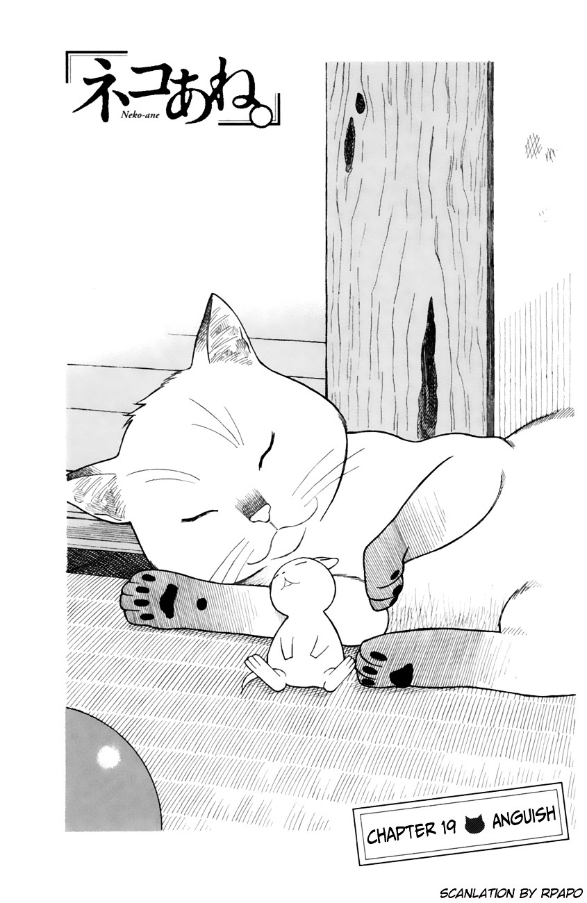 Neko Ane - Chapter 19 : Anguish