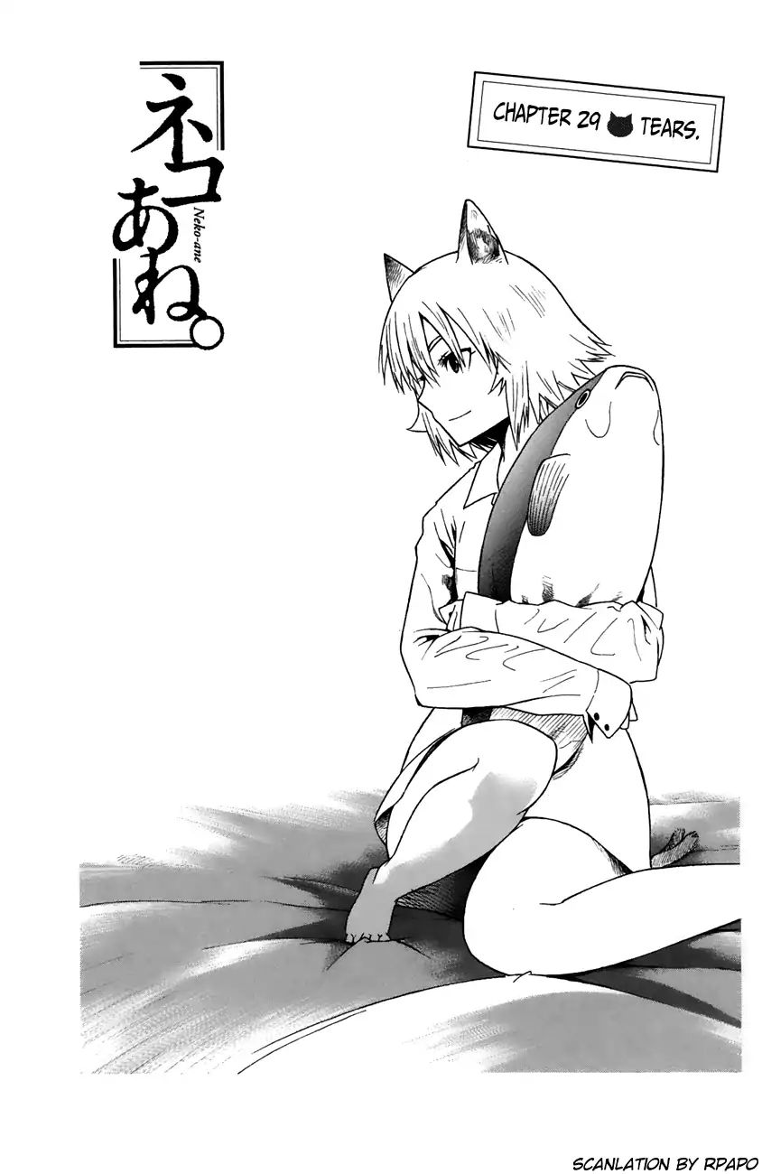 Neko Ane - Chapter 29: Tears