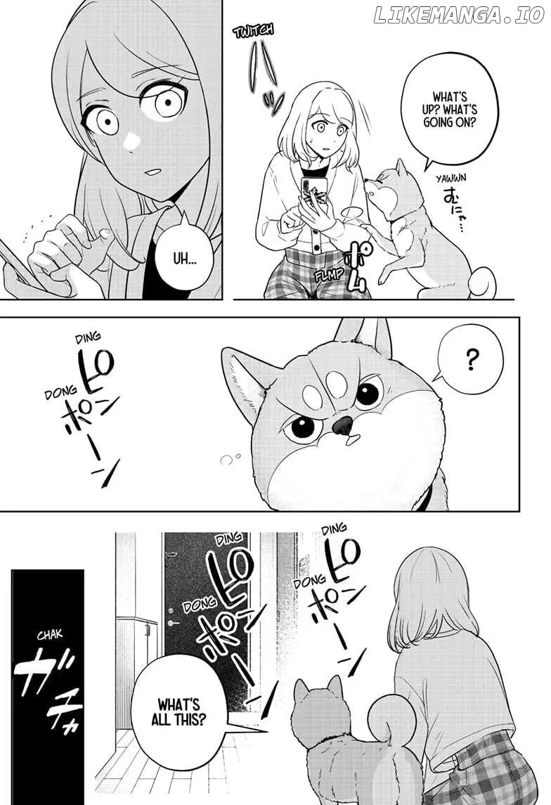 Shiba Inu Rooms - Chapter 15