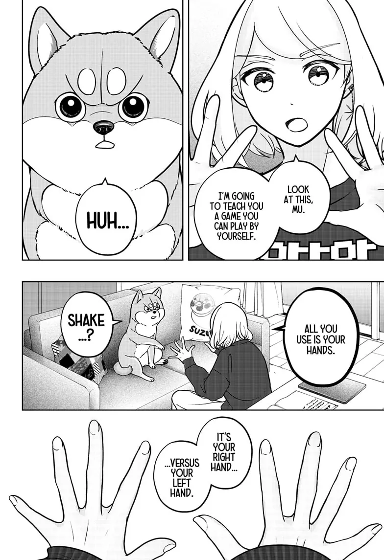 Shiba Inu Rooms - Chapter 8