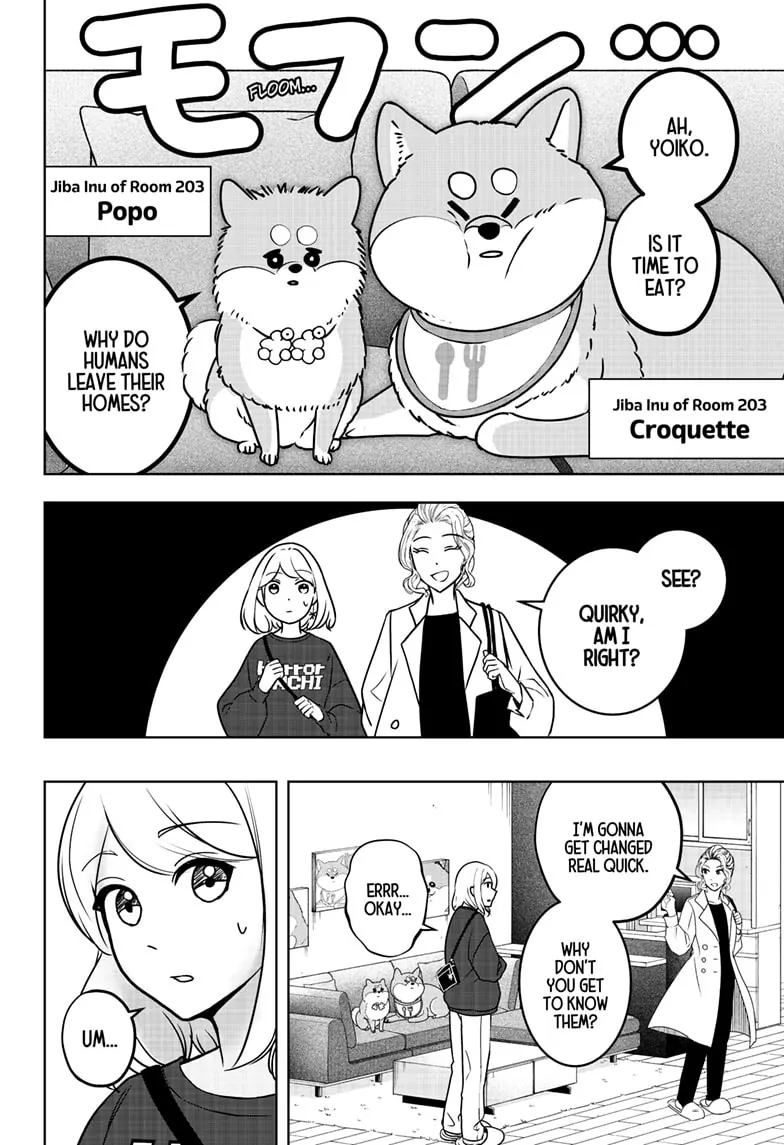 Shiba Inu Rooms - Chapter 8