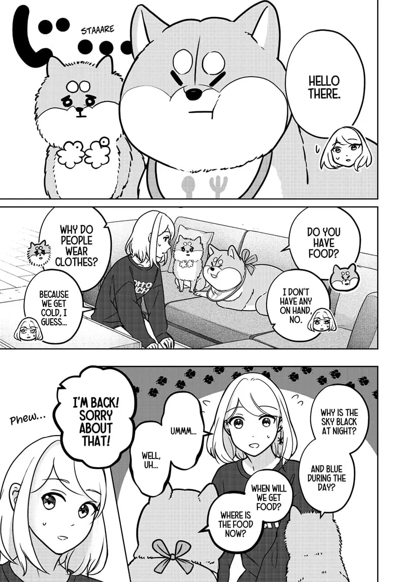 Shiba Inu Rooms - Chapter 8