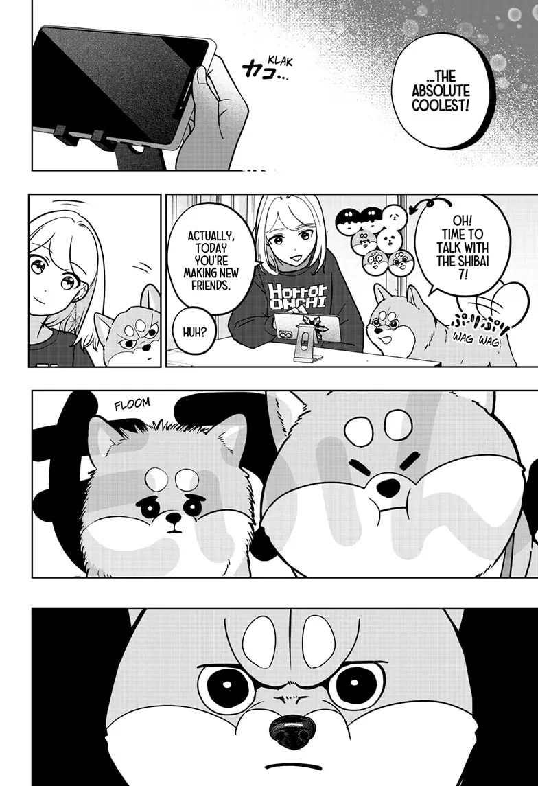 Shiba Inu Rooms - Chapter 8