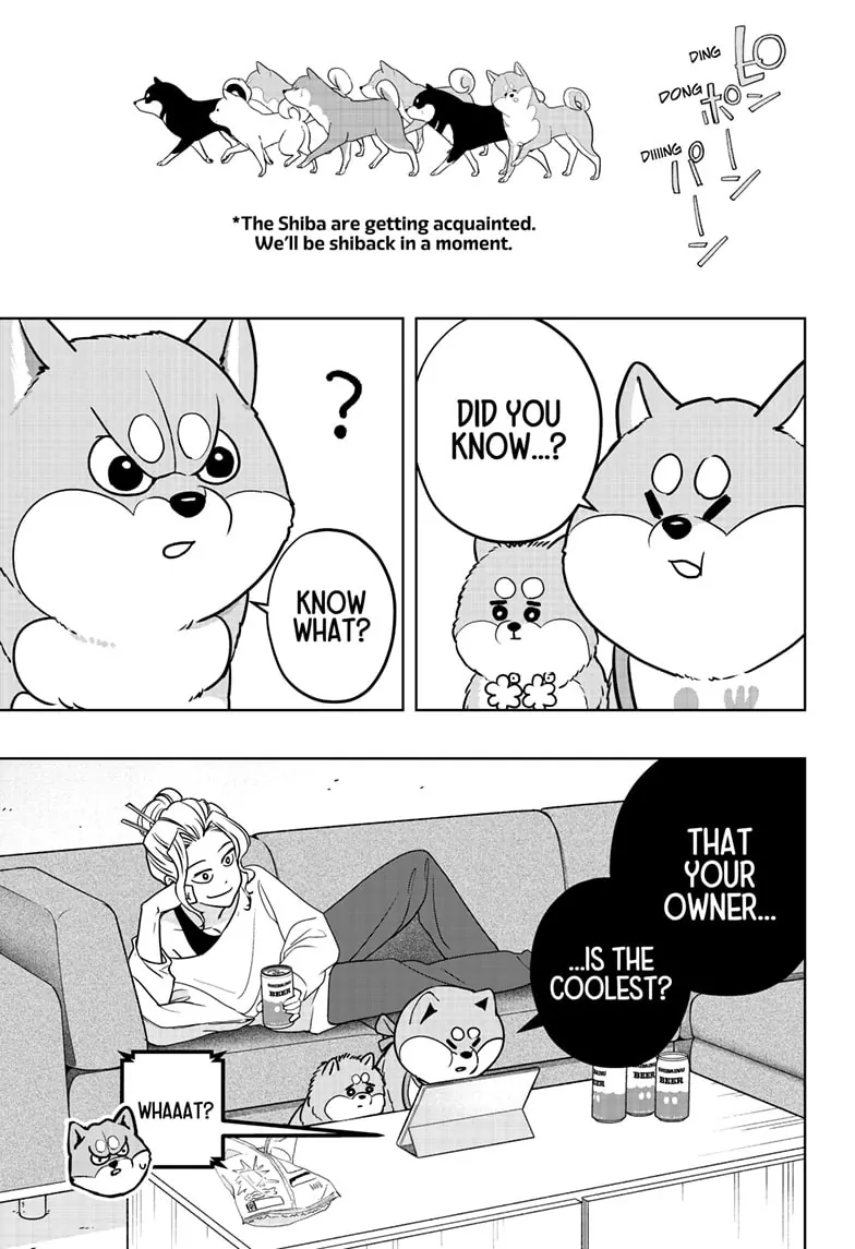 Shiba Inu Rooms - Chapter 8