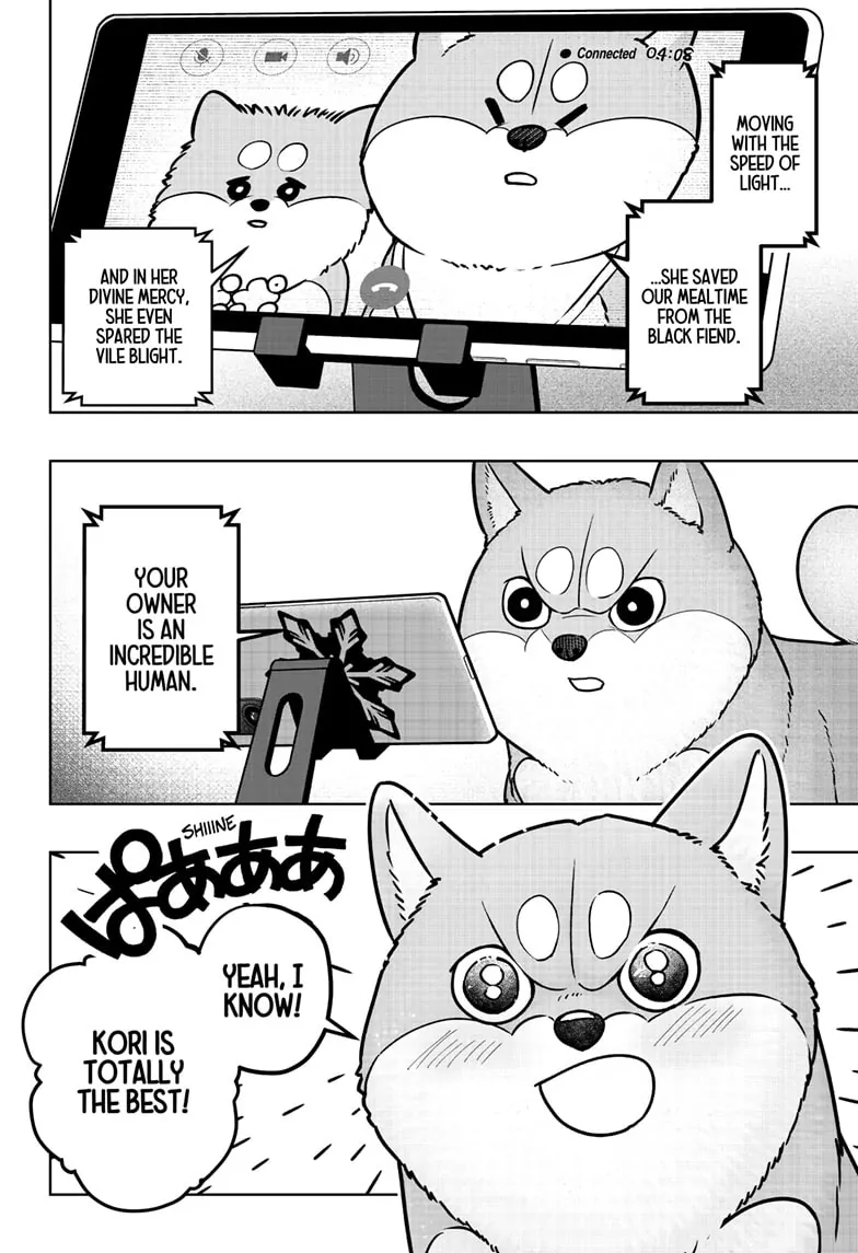 Shiba Inu Rooms - Chapter 8