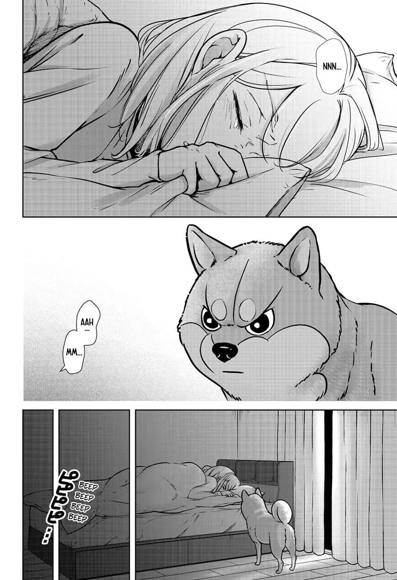 Shiba Inu Rooms - Chapter 9