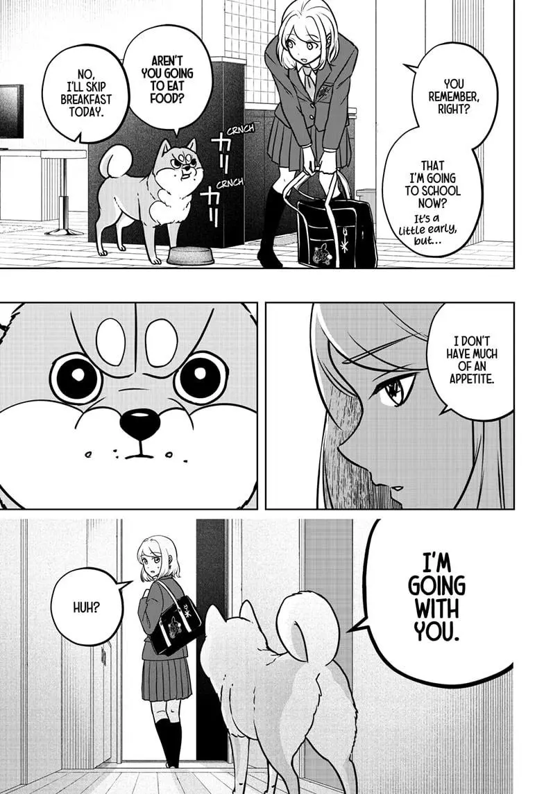 Shiba Inu Rooms - Chapter 9