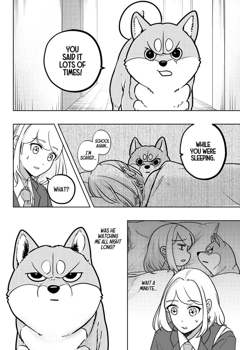 Shiba Inu Rooms - Chapter 9