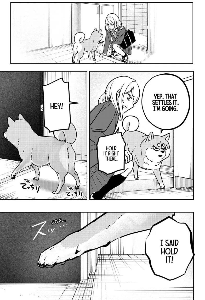 Shiba Inu Rooms - Chapter 9