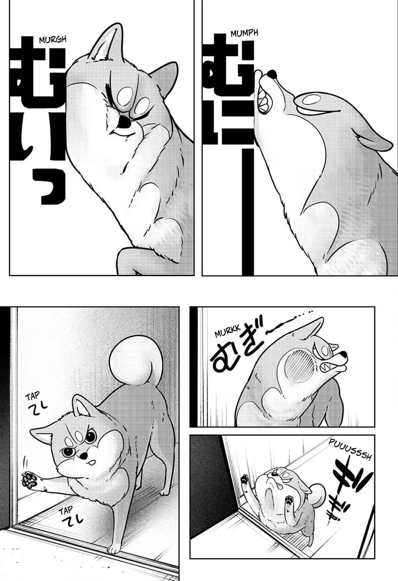 Shiba Inu Rooms - Chapter 9