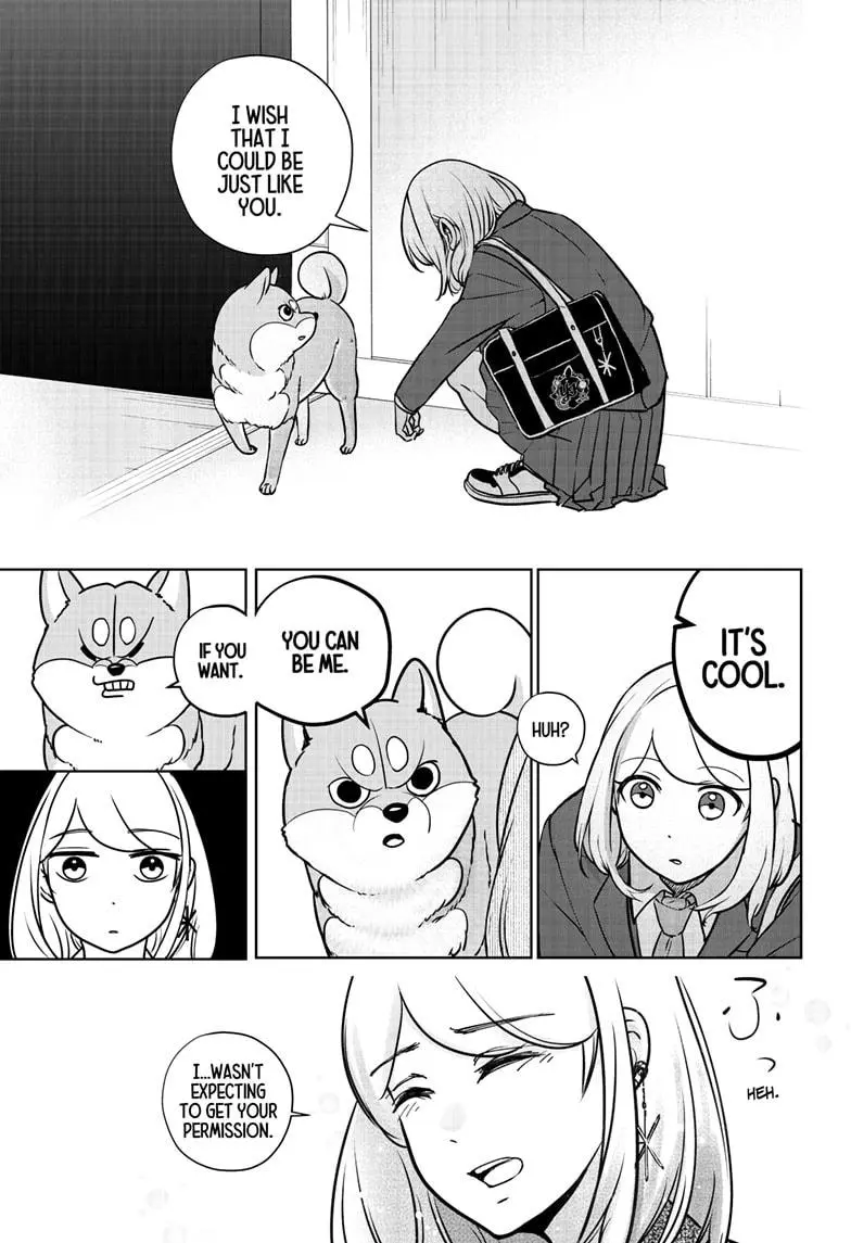 Shiba Inu Rooms - Chapter 9