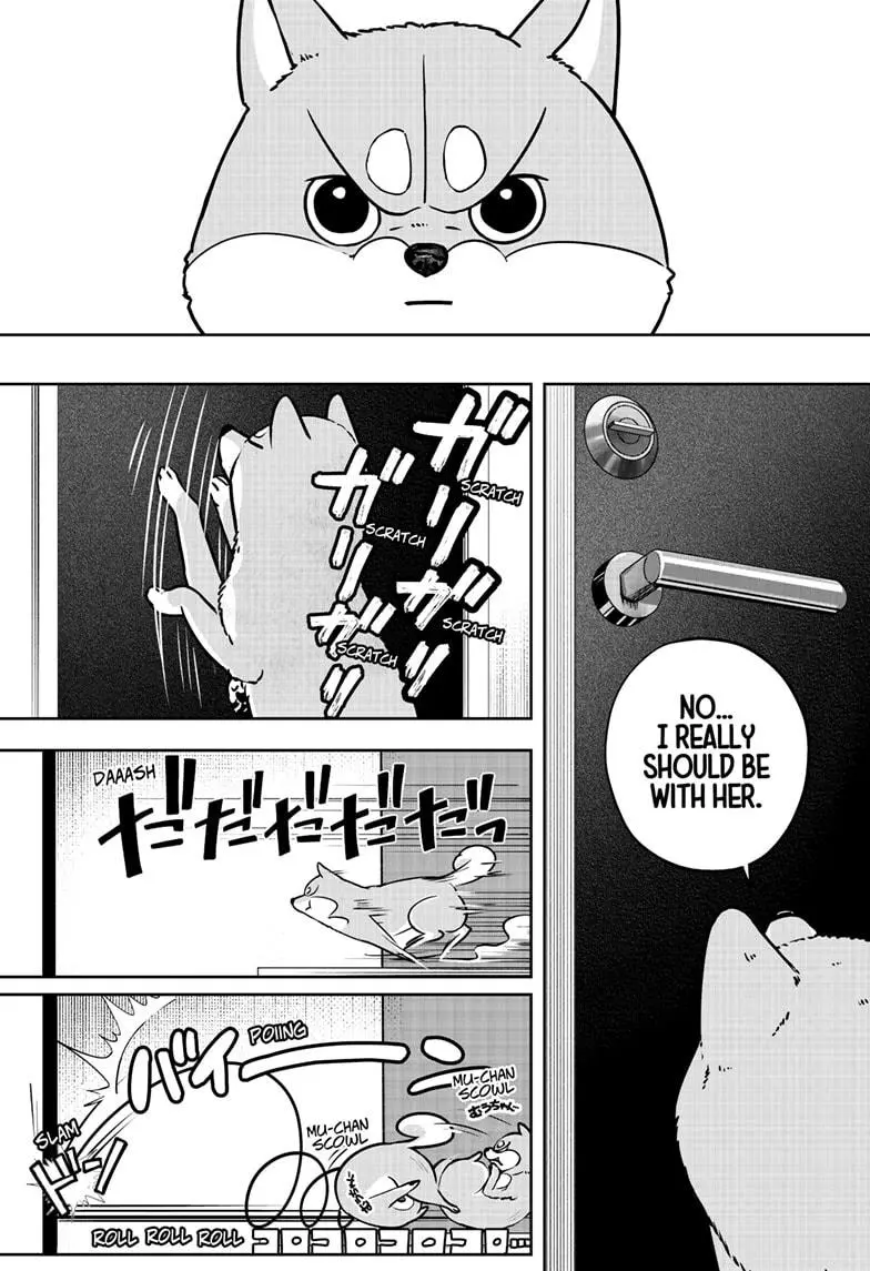 Shiba Inu Rooms - Chapter 9