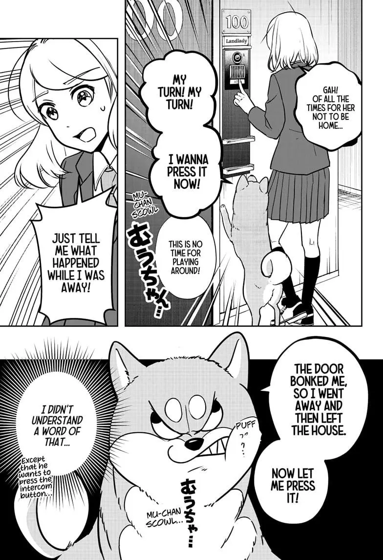 Shiba Inu Rooms - Chapter 9