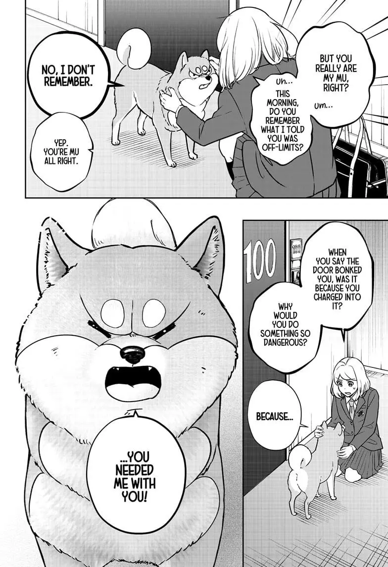 Shiba Inu Rooms - Chapter 9