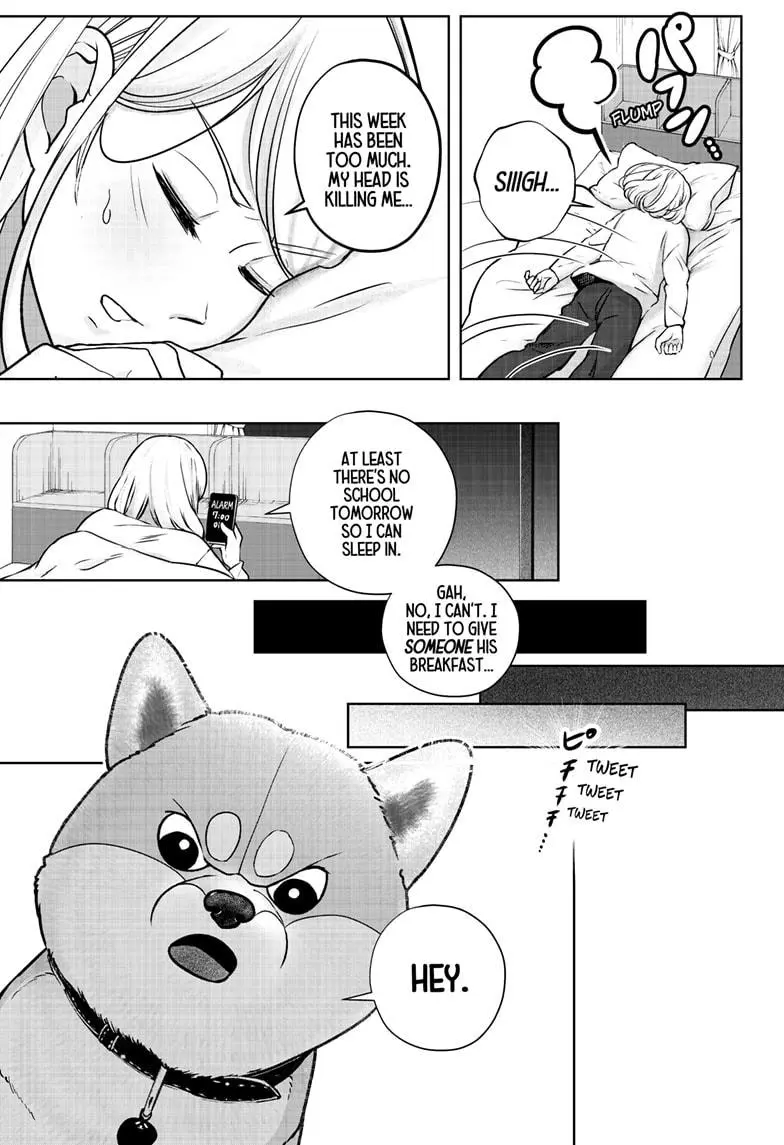 Shiba Inu Rooms - Chapter 11