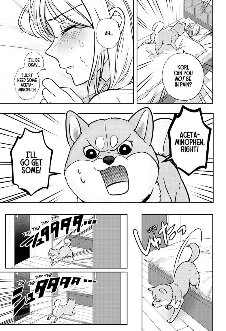 Shiba Inu Rooms - Chapter 11