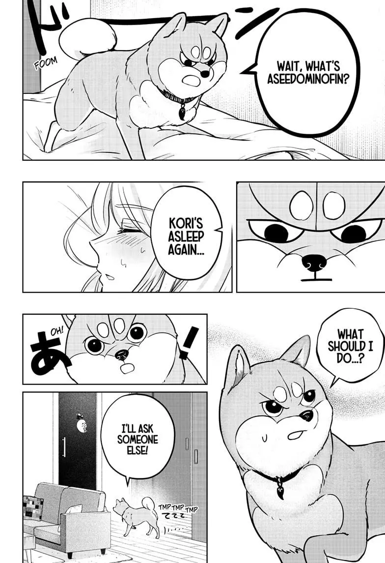 Shiba Inu Rooms - Chapter 11