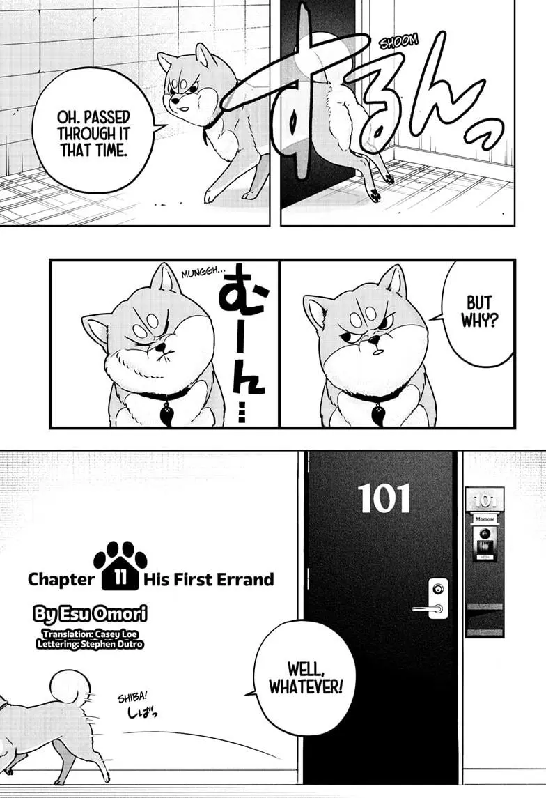 Shiba Inu Rooms - Chapter 11