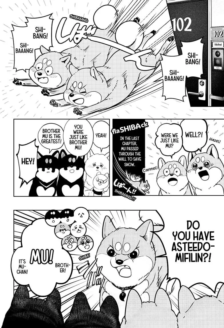 Shiba Inu Rooms - Chapter 11