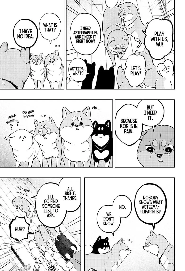 Shiba Inu Rooms - Chapter 11