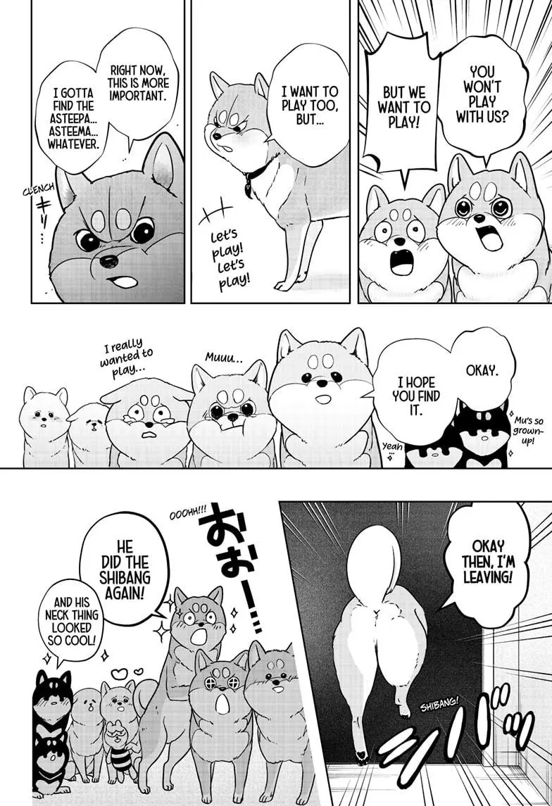 Shiba Inu Rooms - Chapter 11