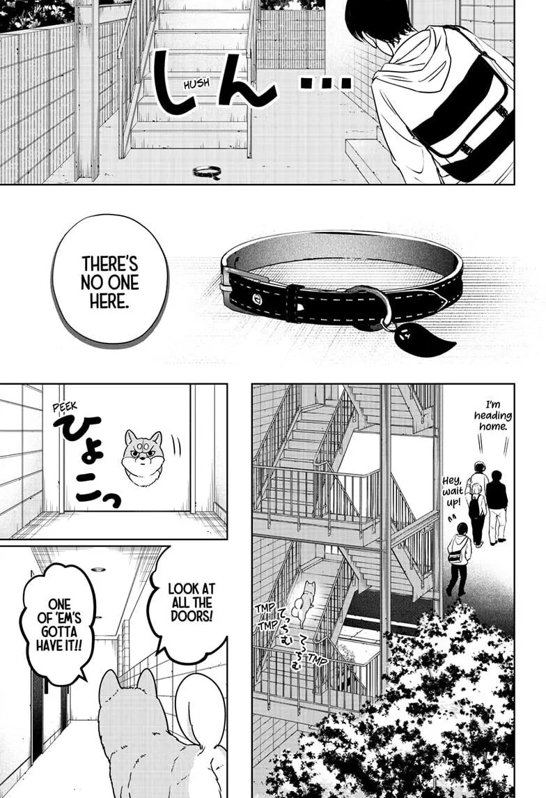 Shiba Inu Rooms - Chapter 11