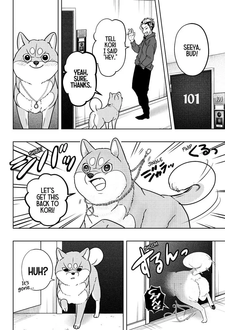 Shiba Inu Rooms - Chapter 11