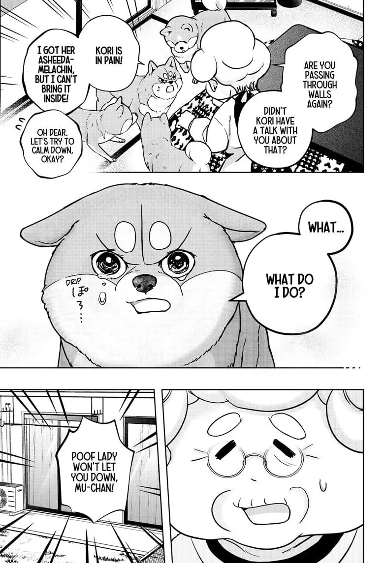 Shiba Inu Rooms - Chapter 11