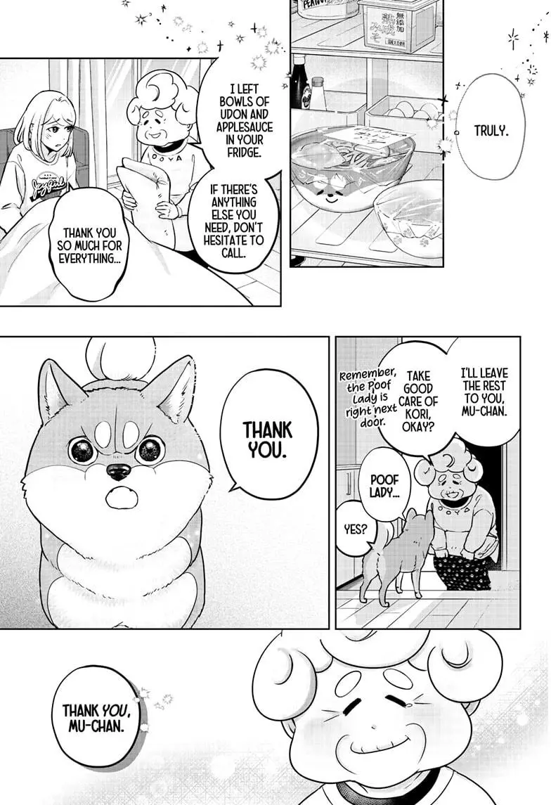 Shiba Inu Rooms - Chapter 11