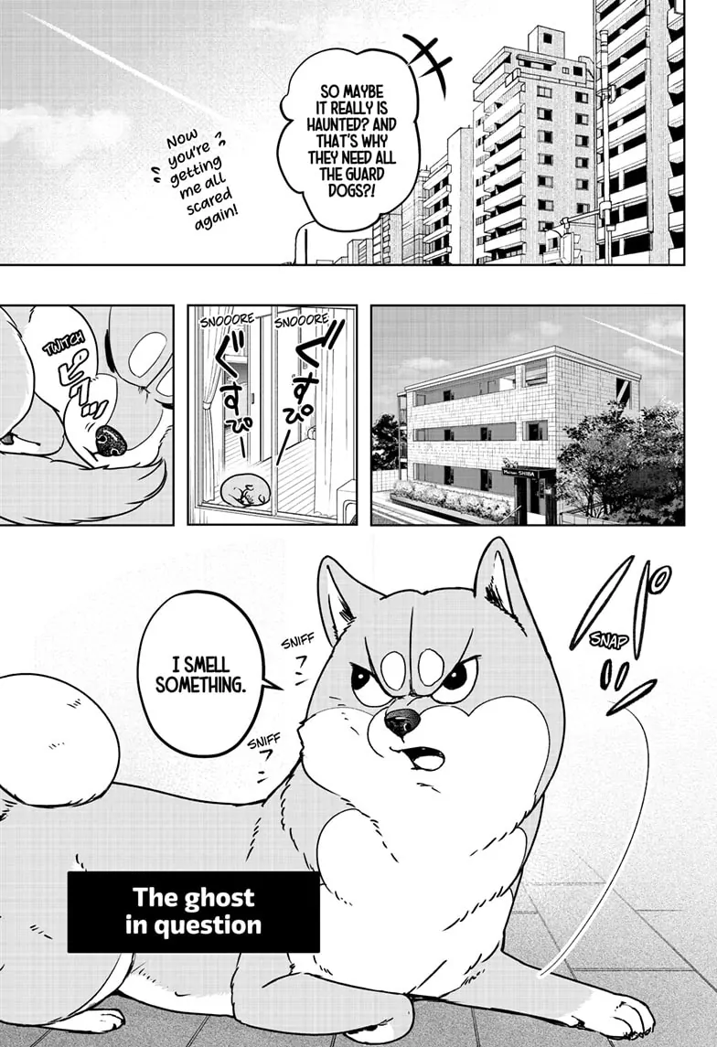 Shiba Inu Rooms - Chapter 7